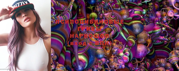 apvp Осташков