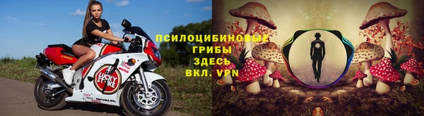 амф Пенза